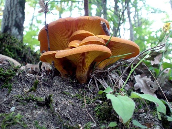 un p� di tempo f� !